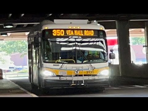 Shine Bright and Light Bright! | Yoshi's Ride Series {S15-E05} - Riding the 350 🚌 - {MBTA}