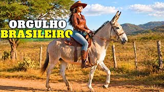 ESSE animal “SIMPLES ” está POR TRÁS de FORTUNAS no CAMPO 