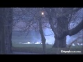 Second World War bomb blown up in Hackney's Clissold Park