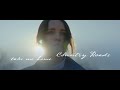 Brandi Carlile Take Me Home Country R Brandi Carlile Take Me Home Country R