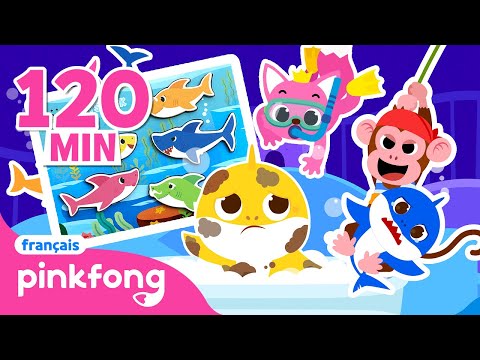 Baby Shark en français - Cache Cache et Chansons | +Comptines | Pinkfong! Chansons pour Enfants