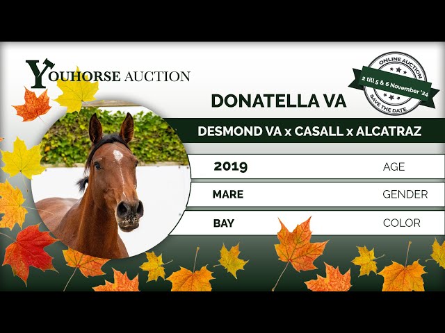 Donatella VA