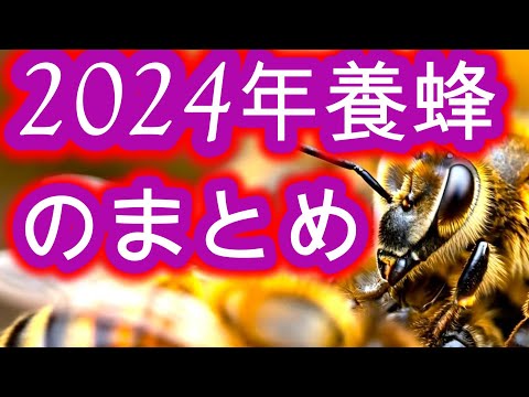 経済学科 晴蜂雨読 ㊺／ミツバチの四季---2024年養蜂のまとめ (2024年12月)／山崎亮一／日英字幕付き／Four seasons of bees／English subtitled