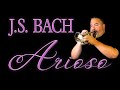 BACH "Arioso" (for Cornet with Organ)