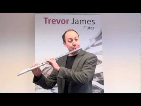 Trevor James 10x flute