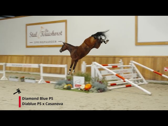 Diamond Blue PS