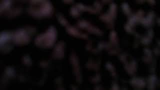 Download lagu 2 Bip tone mp3