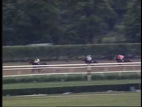 Holy Bull - 1993 Belmont Allowance