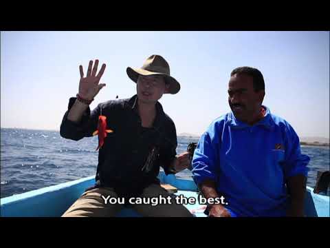 [World Theme Travel] Egypt the Land of Life Part3 - The Gift of the Red Sea Al Quseer