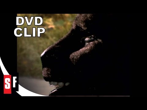 Manimal (1983) Clip (5/5) Panther Prowess