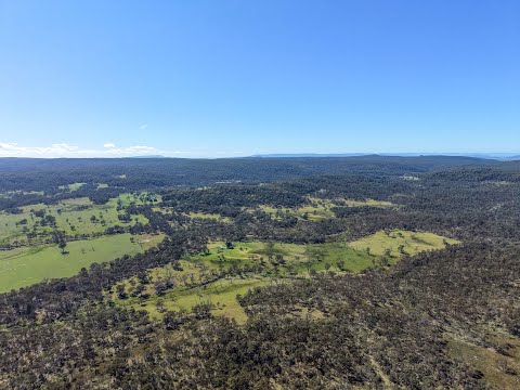 2153 Mount Lindesay Road, Tenterfield, NSW 2372, 3房, 1浴, Lifestyle Property