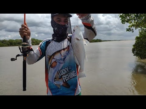 -SÓ CORVINA TOP - PESCARIA NO RIO PIRANGI