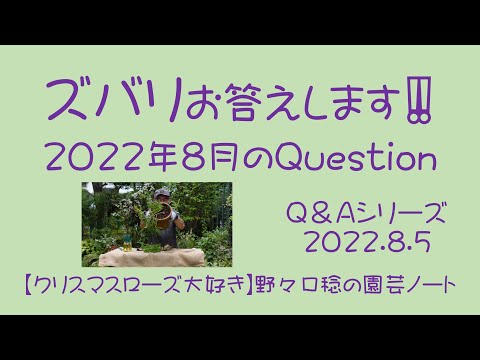 旧暦: 2022 年 8 月の月を使ってガーデニングをするには?  庭園