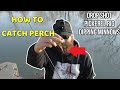 How To CATCH Yellow Perch- Tips and Techniques