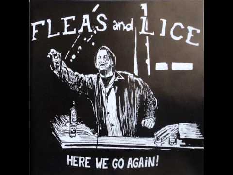 Boycot / Fleas And Lice - Here We Go Again! (EP 2000)