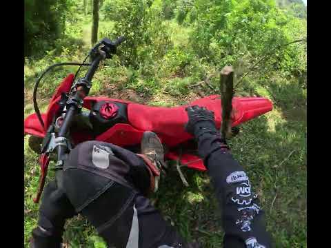 7º Trilha Cachorro Loko (Erval Grande)