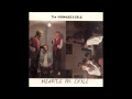 The Homosexuals - Soft South Africans 