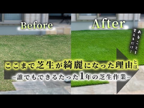 春の芝生に与える肥料は何ですか