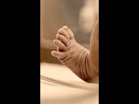 Biological parents, surrogate in multistate custody battle