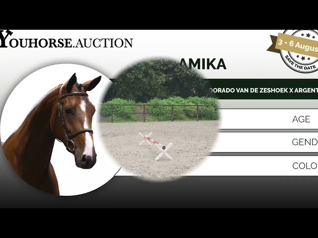 Amika trainingsvideo