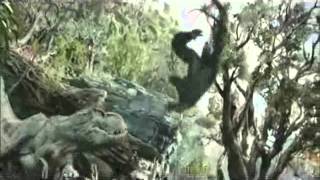 King Kong vs Godzilla ( Gorilla Punch )