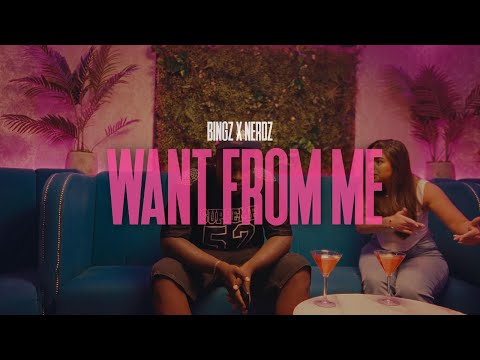 Bingz x Nerdz - Want From Me (Official Music Video)