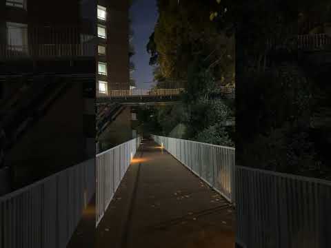 See Kobe U - 夜のうりぼーロード / Uribo Road in the evening