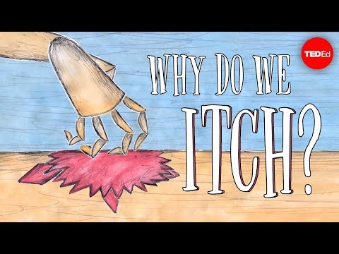 Why Do We Itch? The Weird Answer Is Right Here...