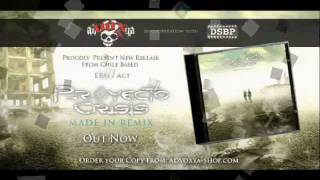 Proyecto Crisis Made In Remix Promo 2012