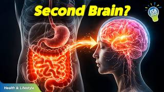 The Gut-Brain Connection: How Your Belly Talks to Your Brain