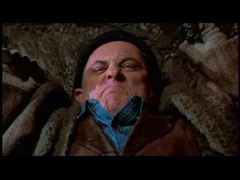Home Alone 2 Climbing the Ladder