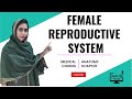 Female Reproductive System | Medical coding malayalam Tutorials | ANATOMY |  Indus Talks