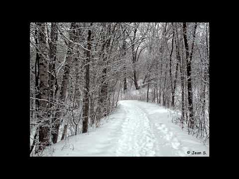 le sentier de neige de BEN KAYE