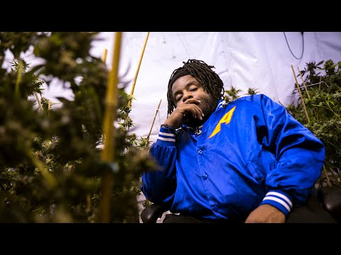 Jeff Skigh - 4hr Flight | shot by AYEHAB