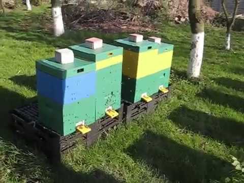 42/a   Jesień w pasiece