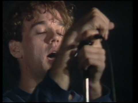 R.E.M. - Wolves, Lower 1982