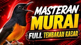 Download lagu Masteran Murai Full Tembakan Kasar | Masteran Murai Batu Tembakan Kasar mp3