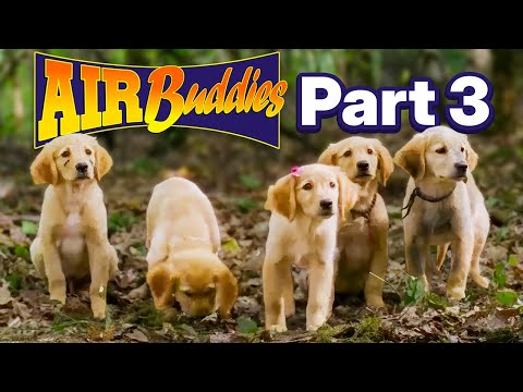 Air Buddies - Chapter 03 "Ditch Them at the Farm" | Official Movie