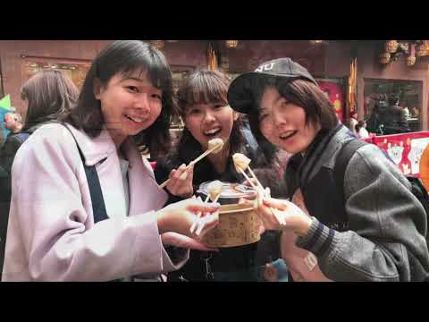 同志社大学海外留学制度