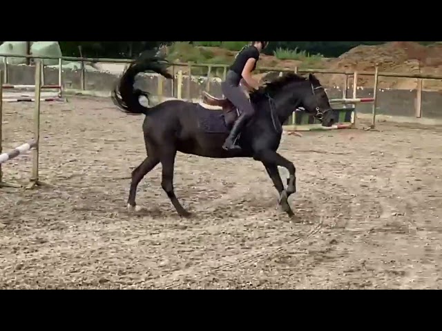 Elesy Leandra Tryout @ Trainingshow