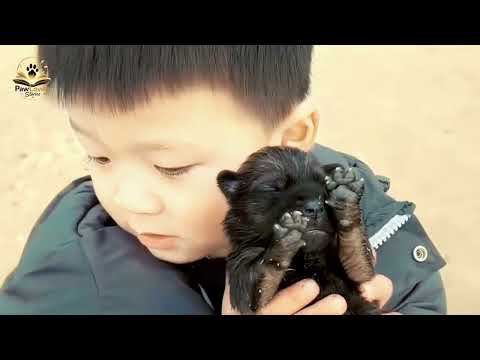 This Tiny Puppy Was Left to Die Until a Little Boy Found Him