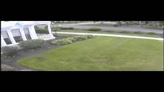Black Bear Vestal NY 6-19-15