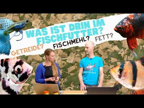 , title : 'Die Wahrheit über Fischmehl und Getreide im Fischfutter | Trockenfutter vs. Lebend- & Frostfutter'