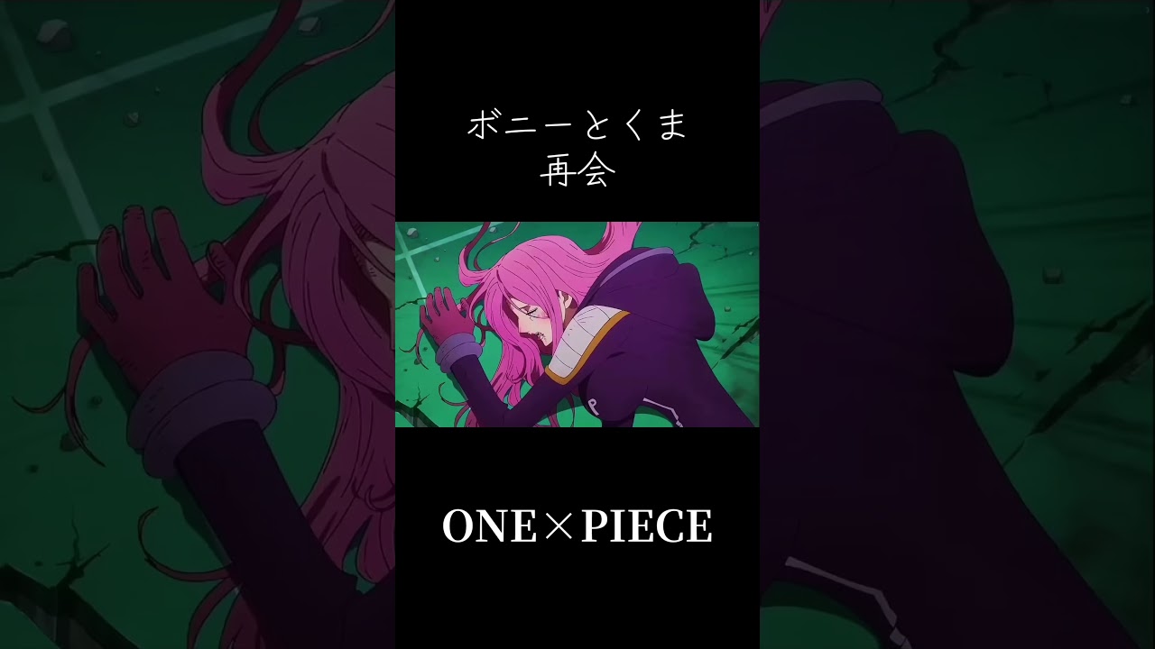【MAD】ONE×PIECE ボニー×くま 再会 #ワンピース #onepiece #くま #ボニー