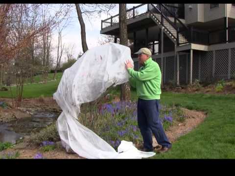 download lagu mp3 mp4 Frost Plant, download lagu Frost Plant gratis, unduh video klip Frost Plant