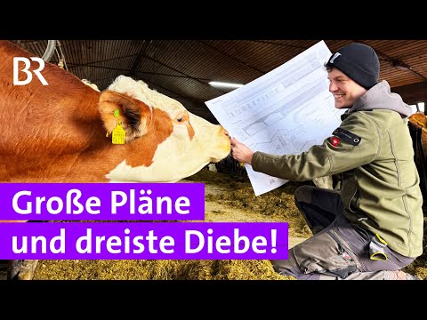 Bauer Thomas im Januar: Diebstahl im Hofladen | Jahreszeiten Serie #5 | Unser Land | BR