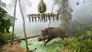 She Hunted a Boar in the Jungle for 21 Days to Save Her Village | @freefootsteps877