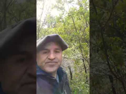 En la patagonia puerto cisnes #soydecarahue #patagoniachilena #carreteraaustral #aysén