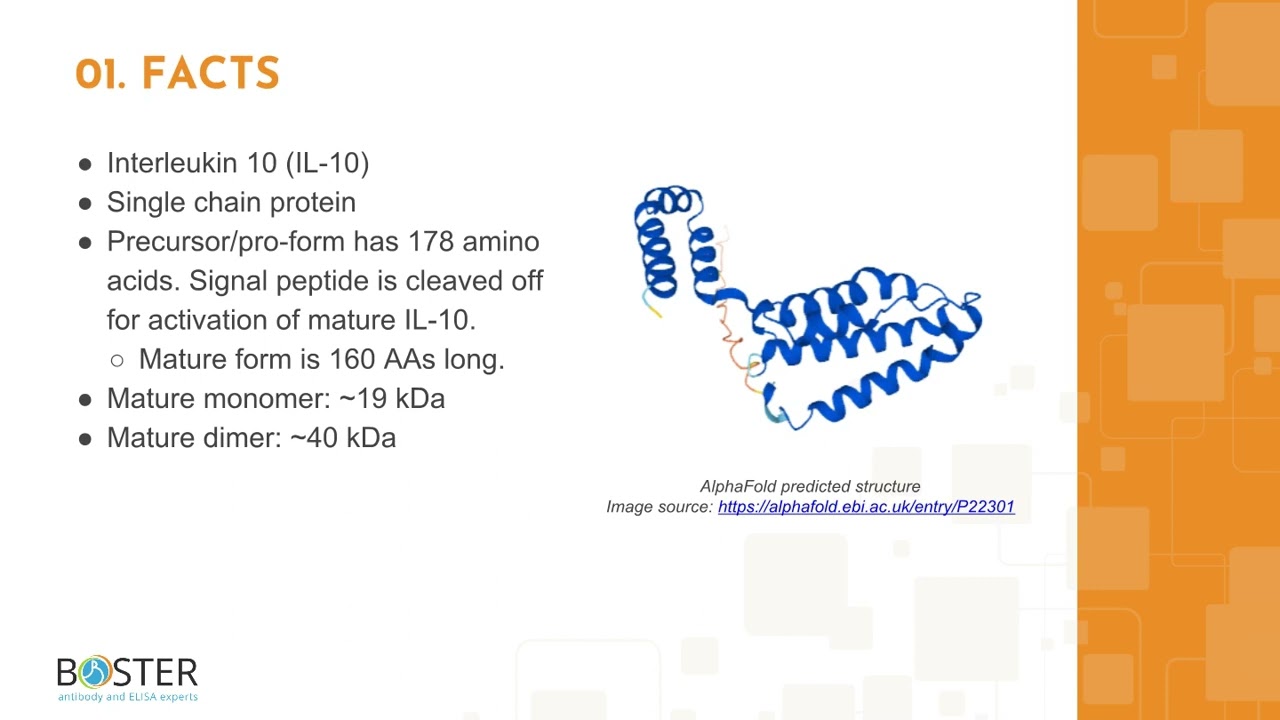 Learn IL-10 in 3 minutes | Interleukin 10 - YouTube