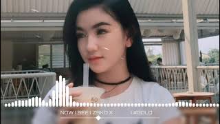 Download lagu NOW I SEE ( ZSKD X ) #GOLD mp3 Download lagu NOW I SEE ( ZSKD X ) #GOLD mp3